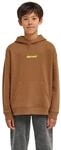 Hoodie ELEMENT "Lowcase Bp", Kinder, Gr. 14(155-164cm), braun (sepia),...