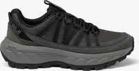 Jack Wolfskin Wanderschuh "WILD HIKE TEXAPORE LOW W" Outdoorschuh,...