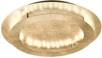 Paul Neuhaus "NEVIS" LED-Board 1 Stk. Warmwei&szlig; LED