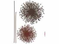 Komar Wandtattoo "Pusteblume", (4 St.), 50x70 cm (Breite x Höhe), selbstklebendes