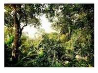 KOMAR Vliestapete "Dschungel" Tapeten 350x250 cm (Breite x Höhe) Gr. B/L: 350 m x