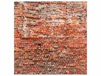 KOMAR Vliestapete "Bricklane" Tapeten 250x250 cm (Breite x Höhe) Gr. B/L: 250...