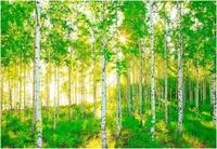 Komar Fototapete "Sunday - Gr&ouml;&szlig;e 368 x 254 cm" bedruckt glatt Wohnzimmer,