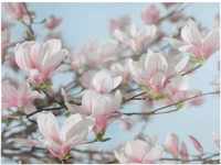 Komar Fototapete "Magnolia"