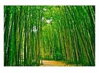 PAPERMOON Fototapete "Bamboo Forest" Tapeten Gr. B/L: 3,5 m x 2,6 m, Bahnen: 7 St.,