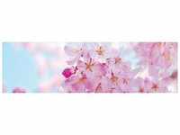 PAPERMOON Fototapete "Cherry Blossom Panorama" Tapeten Gr. B/L: 3,5 m x 1 m, bunt
