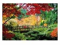 PAPERMOON Fototapete "Bridge in Japanese Garden" Tapeten Gr. B/L: 3,5 m x 2,6 m, bunt