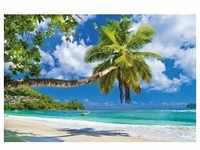 PAPERMOON Fototapete "Seychelles Palm Beach" Tapeten Gr. B/L: 350 m x 260 m, Bahnen: