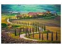 PAPERMOON Fototapete "Fields in Tuscany" Tapeten Gr. B/L: 3,5 m x 2,6 m, Bahnen: 7