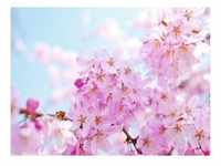 PAPERMOON Fototapete "Cherry Blossom" Tapeten Gr. B/L: 3,5 m x 2,6 m, Bahnen: 7 St.,