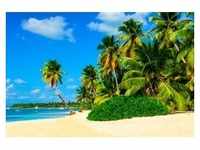 PAPERMOON Fototapete "Exotic Palm Beach" Tapeten Gr. B/L: 3,5 m x 2,6 m, Bahnen: 7