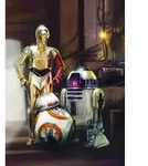 Komar Fototapete "STAR WARS Three Droids - Gr&ouml;&szlig;e 184 x 254 cm" bedruckt glatt