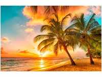 PAPERMOON Fototapete "Barbados Palm Beach" Tapeten Gr. B/L: 2,5 m x 1,8 m, bunt