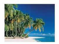 PAPERMOON Fototapete "Tropical Palms" Tapeten Gr. B/L: 3,5 m x 2,6 m, Bahnen: 7 St.,
