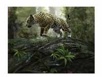 PAPERMOON Fototapete "Jaguar on the Prowl" Tapeten Gr. B/L: 3,5 m x 2,6 m, Bahnen: 7
