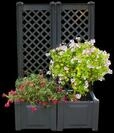 KHW Spalier mit Pflanzkasten, BxTxH: 43x43x140 cm