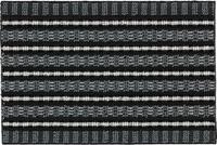 Fu&szlig;matte ASTRA "Poly Brush 250" Gr. 15, schwarz, B:40cm H:14mm L:60cm, Kunstfaser,
