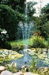 Ubbink Springbrunnenpumpe "Elimax 9000" 8.800 l/h