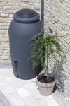 Prosperplast Regentonne "Aquacan baby"