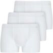Jockey Trunk "Cotton +" ohne Eingriff, elastisch, weich