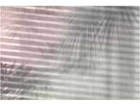 KOMAR Vliestapete "Shadows" Tapeten Gr. B/L: 368 m x 248 m, Rollen: 1 St., braun