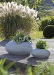 Scheurich Blumentopf "48/280 FLOW"