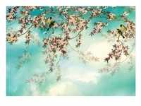 KOMAR Fototapete "Sakura" Tapeten Gr. B/L: 368 m x 254 m, Rollen: 8 St., bunt (blau,