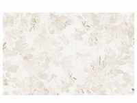 KOMAR Vliestapete "Sheer Grey" Tapeten 400x250 cm (Breite x Höhe), Vliestapete, 100