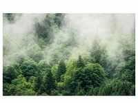 KOMAR Vliestapete "Forest Land" Tapeten 400x250 cm (Breite x Höhe), Vliestapete, 100