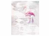 KOMAR Vliestapete "Pink Flamingo" Tapeten Gr. B/L: 200 m x 250 m, Rollen: 1 St.,