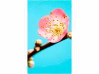 KOMAR Vliestapete "Peach Blossom" Tapeten (Breite x Höhe) Gr. B/L: 1,5 m x 2,5...