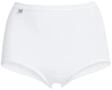 Triumph Taillenslip 2 Stk.