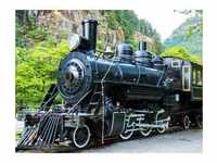 PAPERMOON Fototapete "Old Steam Locomotive" Tapeten Gr. B/L: 4 m x 2,6 m,...