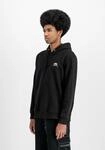 Hoodie ALPHA INDUSTRIES "Basic Hoodie SL", Herren, Gr. L, schwarz, Obermaterial: 80%