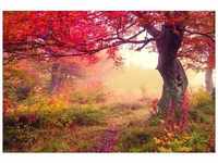 PAPERMOON Fototapete "Autumn Trees" Tapeten Gr. B/L: 3,5 m x 2,6 m, Bahnen: 7...