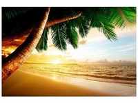 PAPERMOON Fototapete "Caribbean Beach Sunrise" Tapeten Gr. B/L: 5 m x 2,8 m,...
