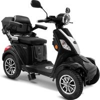 Rolektro Elektromobil "Rolektro E-Quad 25 V.3, Lithium Akku" 25 km/h mit Topcase