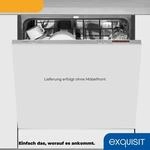 EXQUISIT vollintegrierbarer Geschirrsp&uuml;ler "EGSP6012-E-030E silber",
