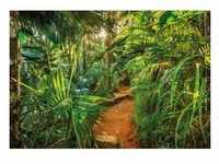 KOMAR Fototapete "Jungle Trail" Tapeten Gr. B/L: 368 m x 254 m, Rollen: 1 St., grün