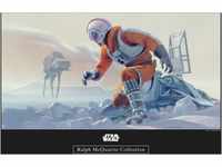 Komar Poster "Star Wars Classic RMQ Hoth Battle Pilot", Star Wars, (1 St.),