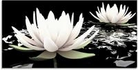 Artland Glasbild "Zwei Lotusblumen auf dem Wasser" Blumen 1 Stk. tlg. in