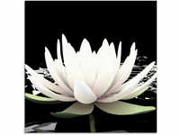 Artland Glasbild "Zwei Lotusblumen auf dem Wasser", Blumen, (1 St.)
