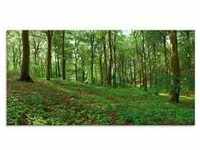 Glasbild ARTLAND "Panorama von einem grünen Sommerwald" Bilder Gr. B/H: 100 cm...