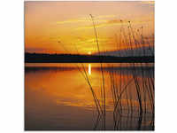 Artland Glasbild "Landschaft mit Sonnenaufgang", Sonnenaufgang & -untergang, (1...