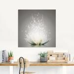 Artland Glasbild "Magie der Lotus-Blume" Blumen 1 Stk. tlg.