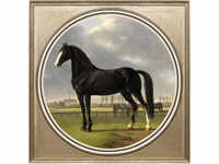 queence Acrylglasbild "Pferd"