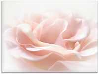Glasbild ARTLAND "Rose I" Bilder Gr. B/H: 60 cm x 45 cm, Glasbild Blumen...