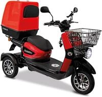 Rolektro Elektromobil "Rolektro E-Carrier 25 V.3 Lithium mit XXL-Koffer" 1.000 W 25