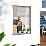Windhager Insektenschutzrollo "PLUS" transparent BxH: 100x160 cm