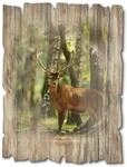 Artland Holzbild "Hirsch 4 - Wald" Wildtiere 1 Stk. tlg.